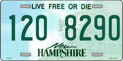 NH license plate 1208290