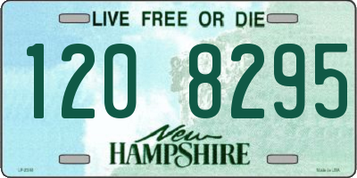 NH license plate 1208295
