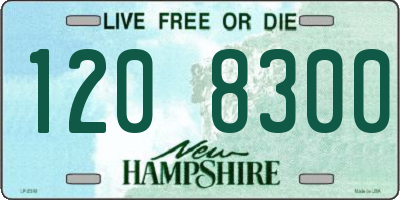 NH license plate 1208300