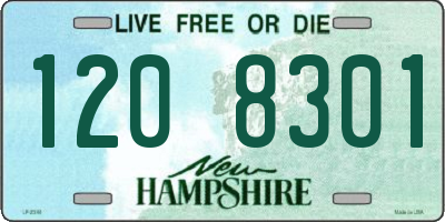 NH license plate 1208301