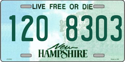 NH license plate 1208303