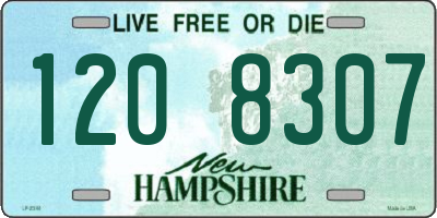 NH license plate 1208307