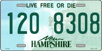 NH license plate 1208308
