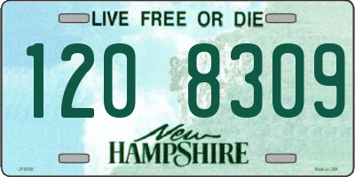 NH license plate 1208309