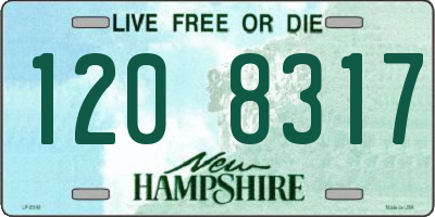 NH license plate 1208317