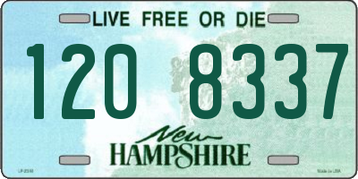 NH license plate 1208337