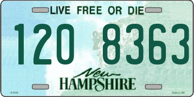 NH license plate 1208363