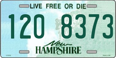 NH license plate 1208373