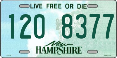 NH license plate 1208377