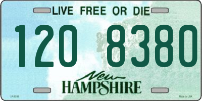 NH license plate 1208380