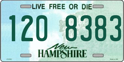 NH license plate 1208383