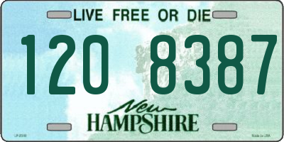 NH license plate 1208387
