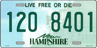 NH license plate 1208401