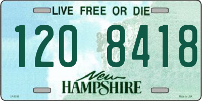 NH license plate 1208418