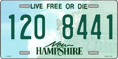 NH license plate 1208441