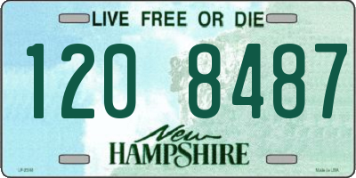 NH license plate 1208487