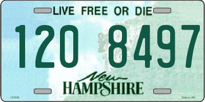 NH license plate 1208497