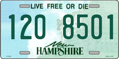 NH license plate 1208501