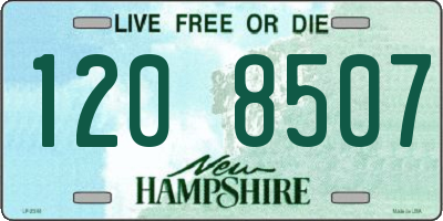 NH license plate 1208507