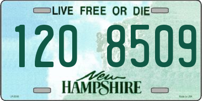NH license plate 1208509
