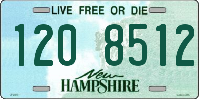 NH license plate 1208512