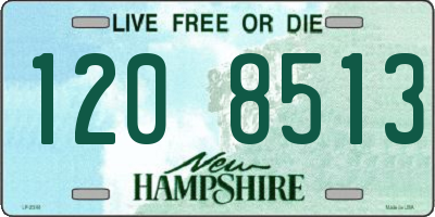 NH license plate 1208513