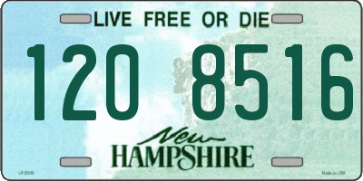 NH license plate 1208516
