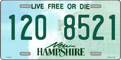 NH license plate 1208521