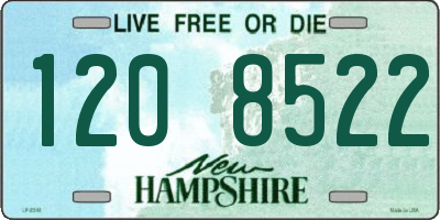 NH license plate 1208522