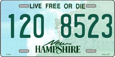 NH license plate 1208523