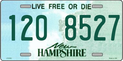 NH license plate 1208527