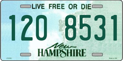 NH license plate 1208531