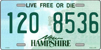 NH license plate 1208536