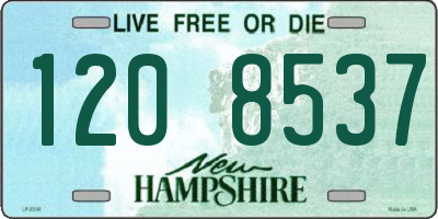 NH license plate 1208537