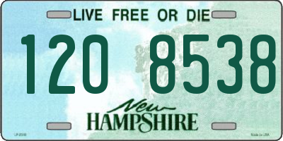 NH license plate 1208538