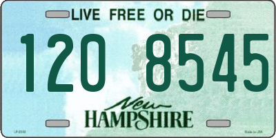 NH license plate 1208545