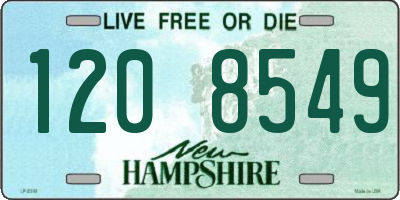 NH license plate 1208549