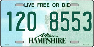 NH license plate 1208553