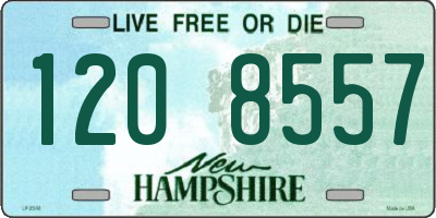 NH license plate 1208557
