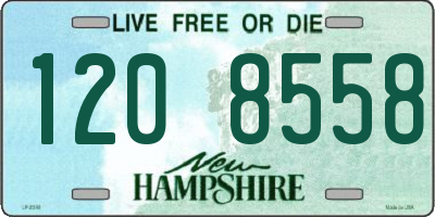 NH license plate 1208558