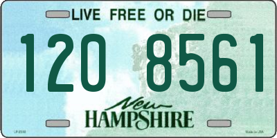 NH license plate 1208561