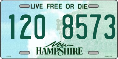 NH license plate 1208573
