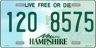 NH license plate 1208575