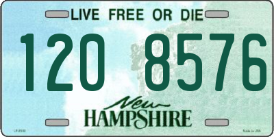 NH license plate 1208576
