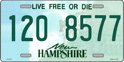 NH license plate 1208577