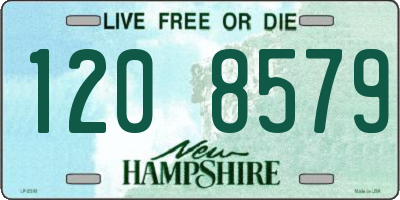 NH license plate 1208579