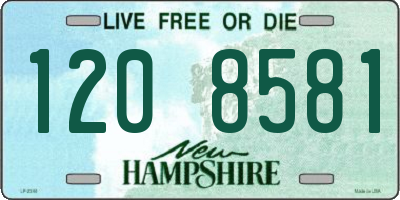NH license plate 1208581