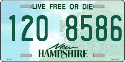 NH license plate 1208586