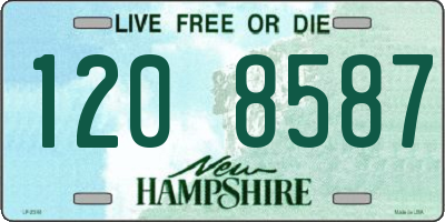 NH license plate 1208587