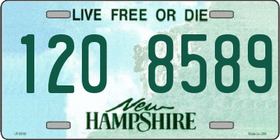 NH license plate 1208589